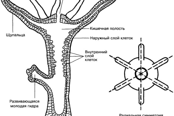 Кракен перейти