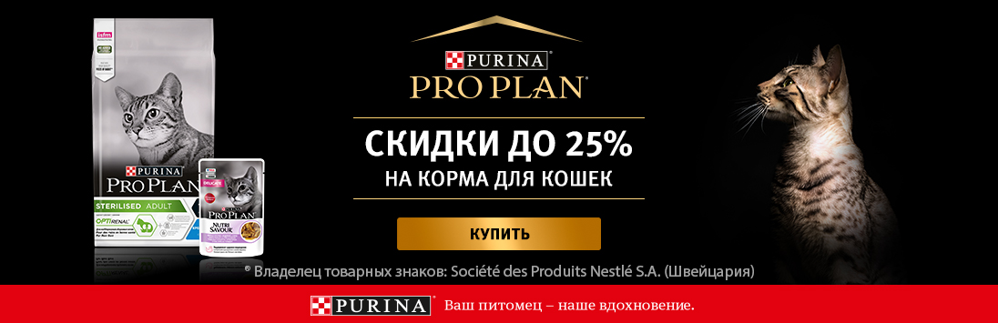 Kraken адрес onion